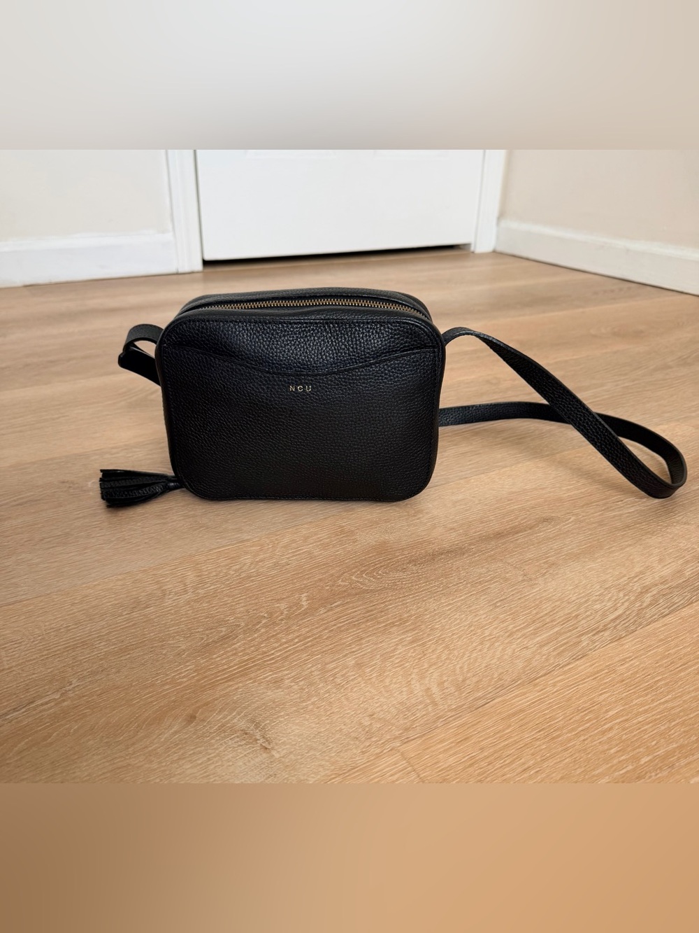 $300 NWOT Cuyana Pebbled Leather Camera Crossbody Bag Tassel Gucci Soho Style